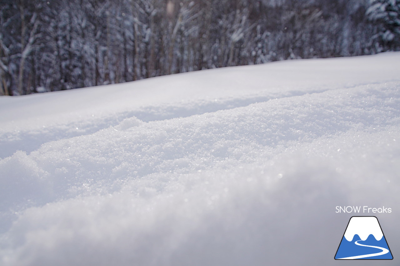 2018-2019 winter ☆パウダースノーで初滑り☆ 北海道札幌市・札幌国際スキー場